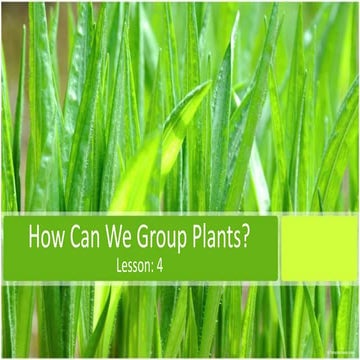 How can we group plants