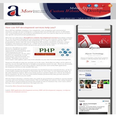 How can WP development services help you?