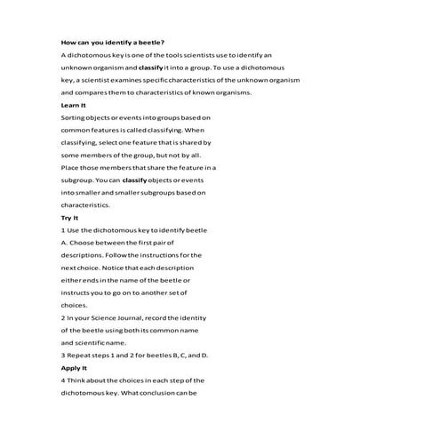 How can you identify a beetle | PDF