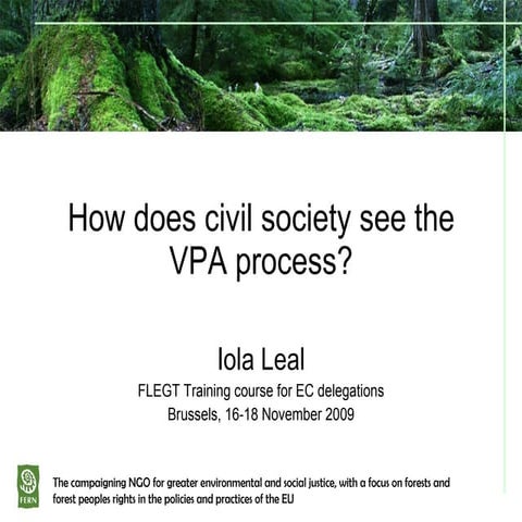 How Civil Society Sees The Vpa Process