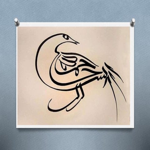 How climate change effects birds A Lecture by Mr Allah Dad Khan Visiting prof...