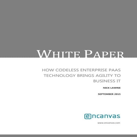 How codeless enterprise paas installs agility to business it