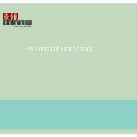 How Computer Virus Spreads