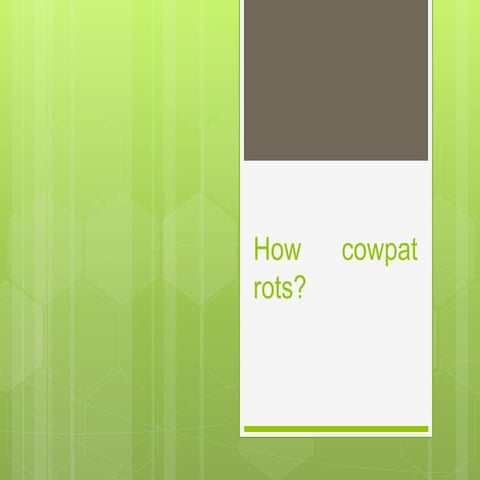 How cowpat rots?