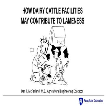 How Dairy Cattle Facilities May Contribute to Lameness