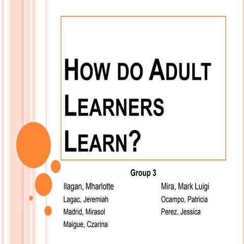 How Do Adult Learners Learn?