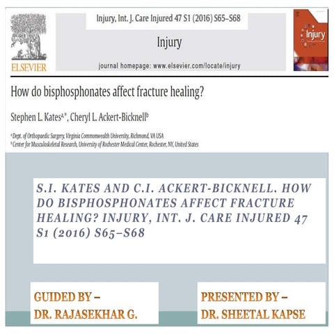 How do bisphosphonated affect # healing