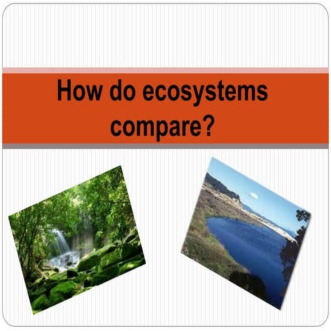 How do ecosystems compare?