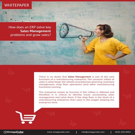 Whitepaper - How does an ERP Solve Key Sales Management Problems and Grow Sales?