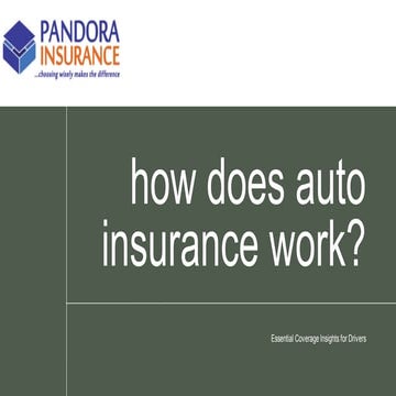 how does auto insurance work | Pandora Insurance | PDF