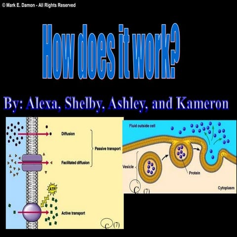 How does it work artifact