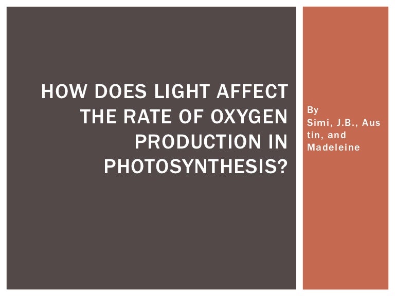How does light affect the rate of oxygen production in photosynthesis