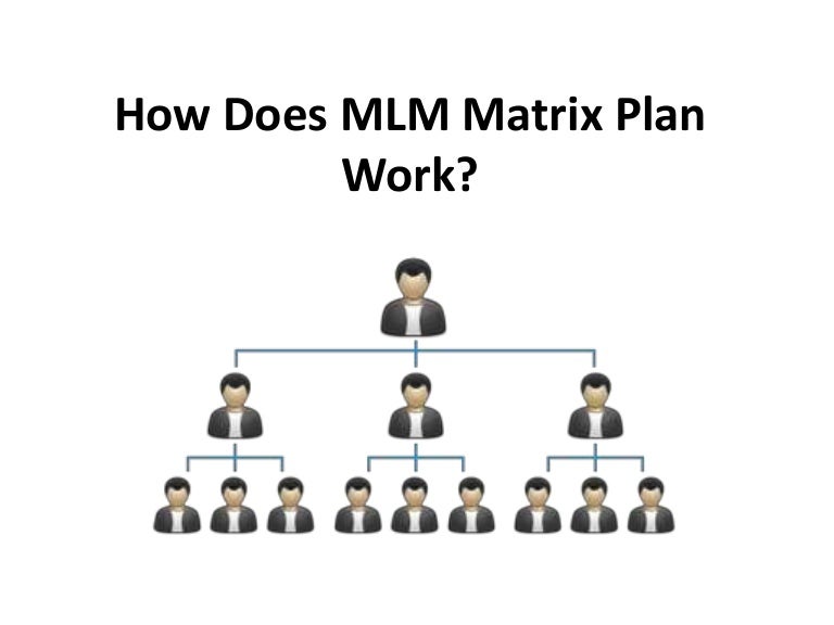 How Does A Typical Mlm Work? | What Are Insurance Hierarchies & How Do ...