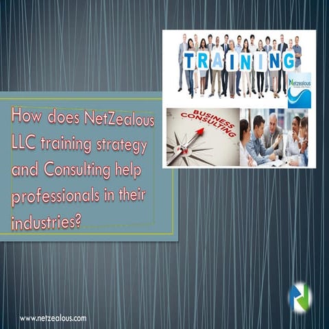 How does NetZealous LLC training strategy and Consulting help professionals in their industries?