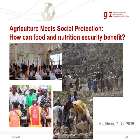 Social Protection and Its Impact on Food and Nutrition Security