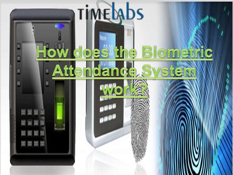 How does the Biometric Attendance System work?
