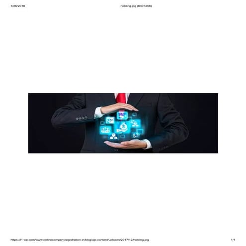 How do holding companies work | PDF