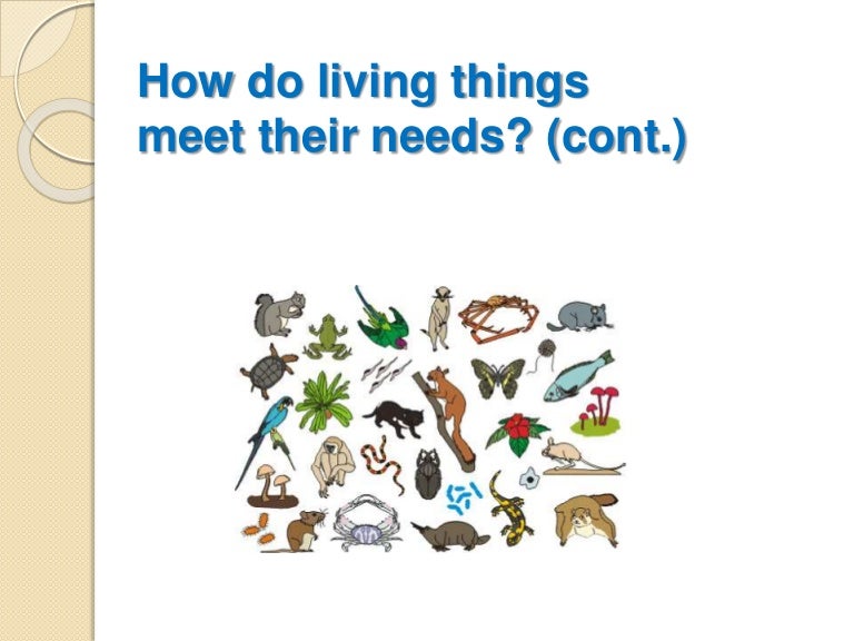 How do living things meet their needs 2