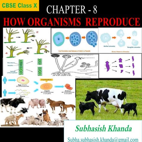How do organisms reproduce (CBSE -X)