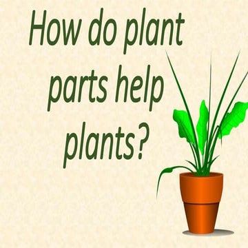 How do plant parts help plants