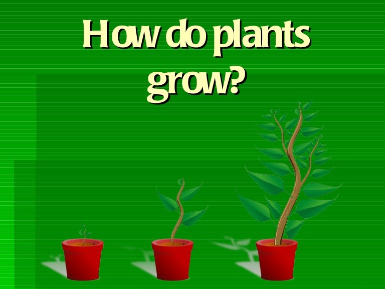 How do plants grow compressed