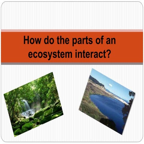 How do the parts of an ecosystem interact