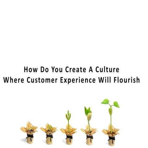 How To Create A Customer Experience Culture 