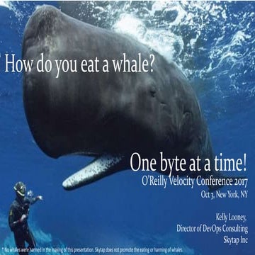 How do you eat a whale   velocity 2017