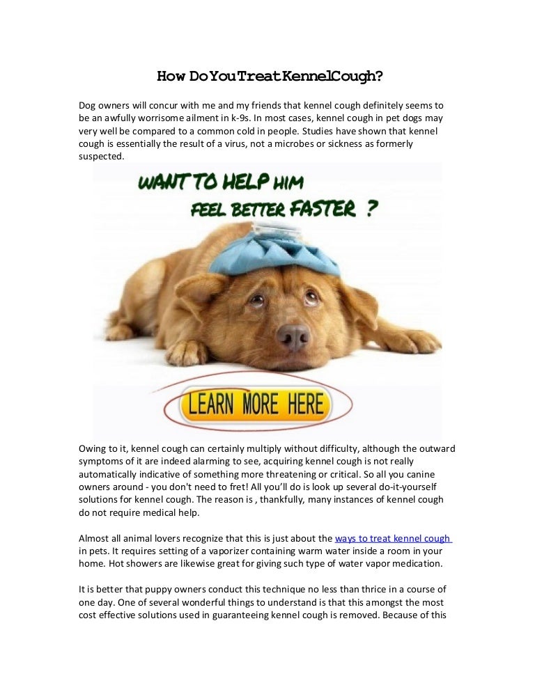 How Do You Treat Kennel Cough