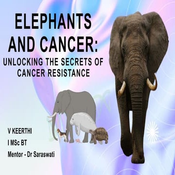 Cancer resistance in elephant and comparative cellular response to DNA damage in human