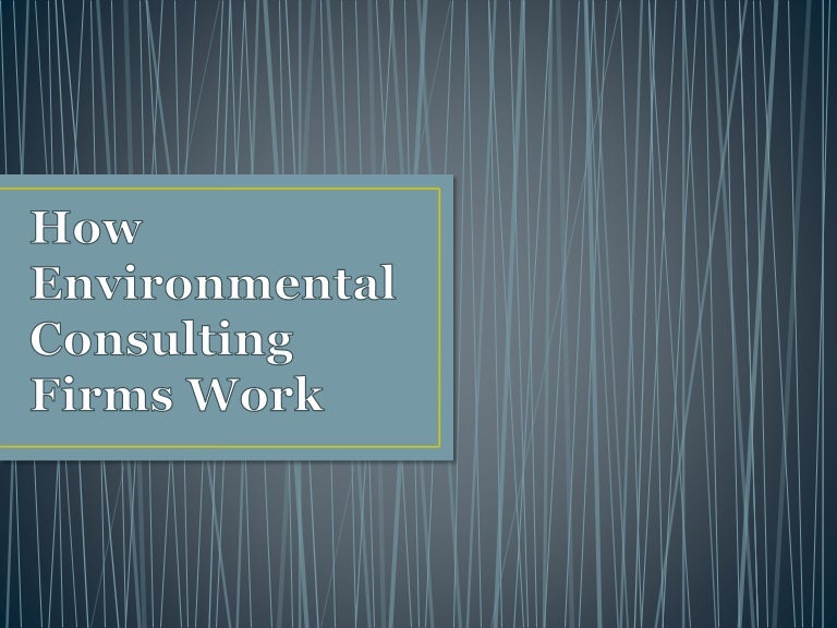 How Environmental Consulting Firms Work