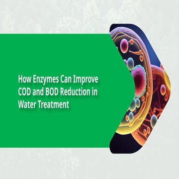 Cleaner Water through Smarter Enzyme Action