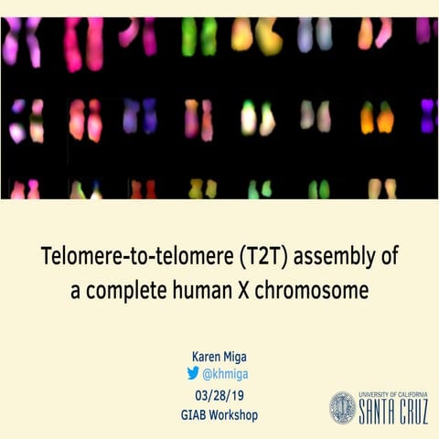 How giab fits in the rest of the world   telomere to telomere consortium