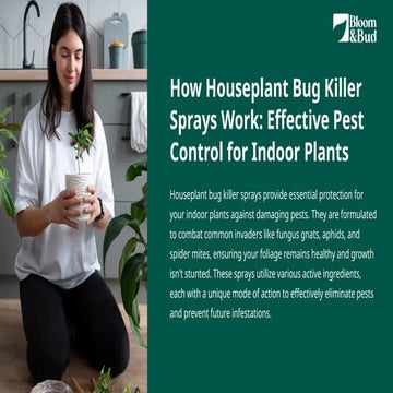 How Houseplant Bug Killer Sprays Work Effective Pest Control for Indoor ...