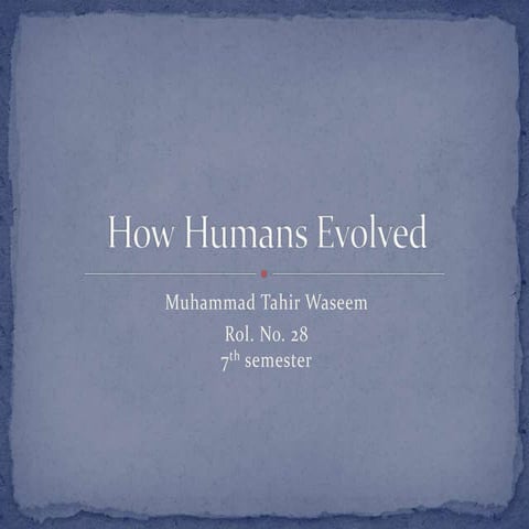 Evolution of Human