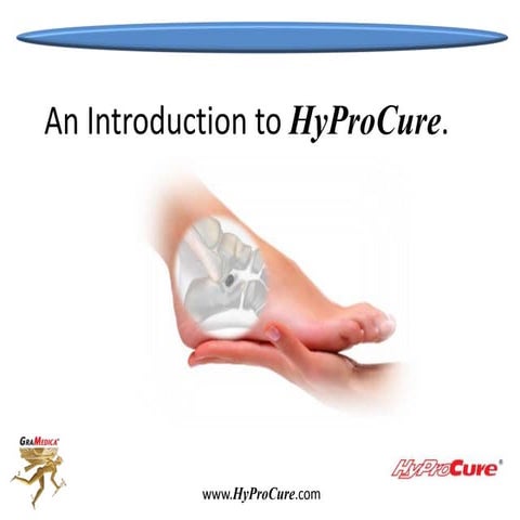 An Introduction to HyProCure