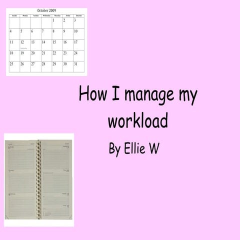 How I Manage My Workload