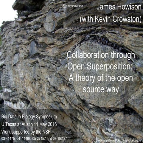 James Howison, Academic researcher