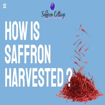 Apa itu Saffron Dikenali.pptx