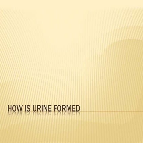How is urine formed