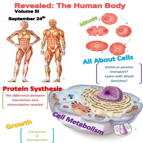 Revealed: The Human Body (Vol. III)
