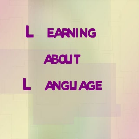 How language is learned