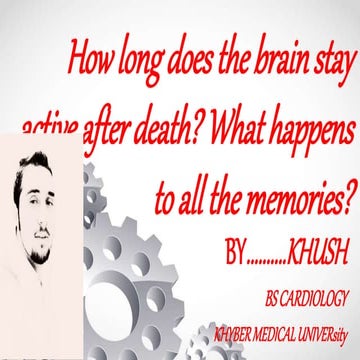 How long does the brain stay active after death