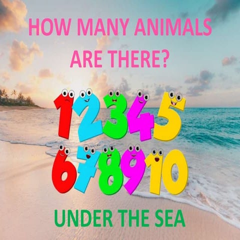 How many... are there?