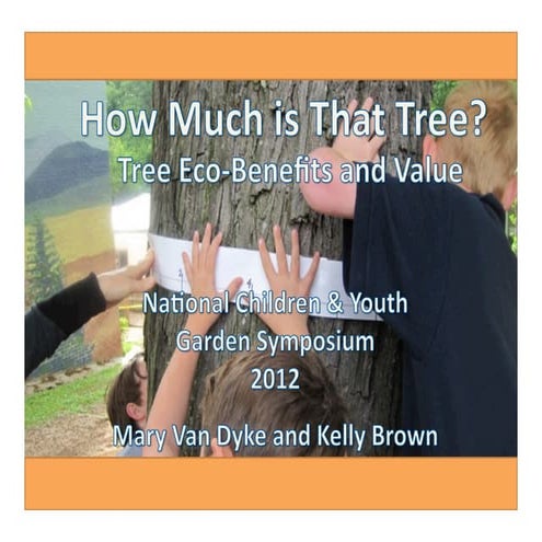 How Much Is That Tree