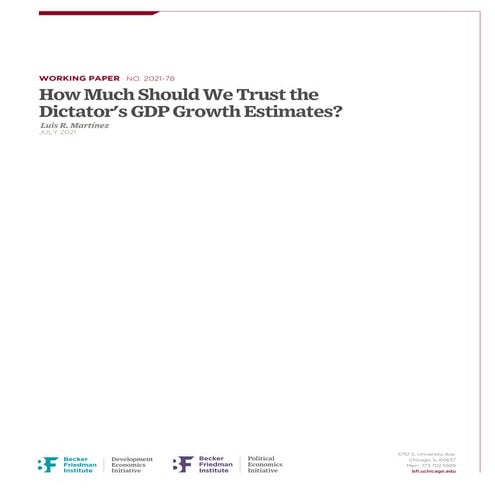 How Much Should We Trust China's GDP.pdf