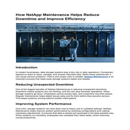 How NetApp Maintenance Helps Reduce Downtime and Improve Efficiency.pdf