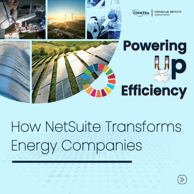 NetSuite - Project Management Software | PDF