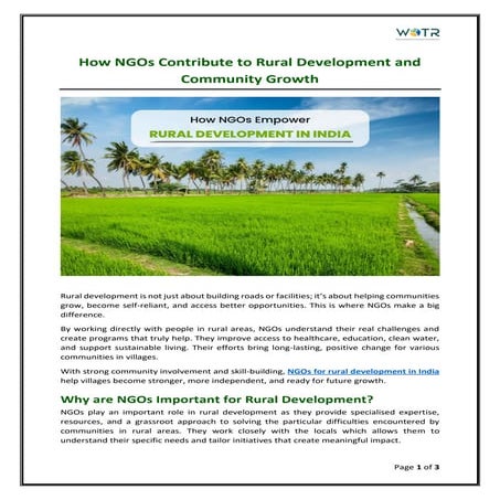 Community Development Strategies and Assets | PPTX