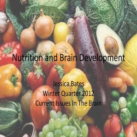 How nutrients effect_our_brains